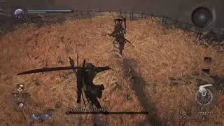 Nioh: The NPC with broken stamina mechanics! Grrrr