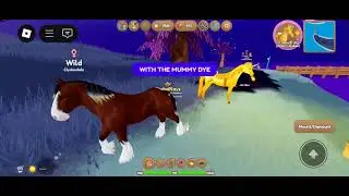 A ND CLYDE WITH THE NEW HALLOWEEN DYE | Wild Horse Islands Roblox 