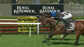 2020 Arrowfield 3yo Sprint (Royal Sovereign Stakes) G2 - Splintex (勝必達) - R.Dolan