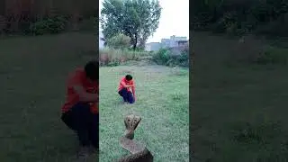funny snake vfx video #shorts