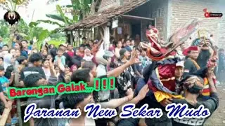 Barongan Galak‼️Rampak Barong jaranan New Sekar Mudo,live Bulu Tawing Berbek Nganjuk 