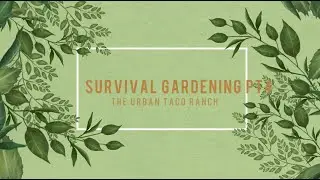 Urban Gardening pt 4