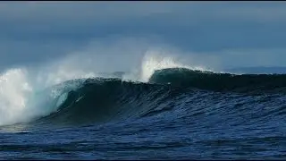 WavePark Resort Mentawai Diary July - September 2016
