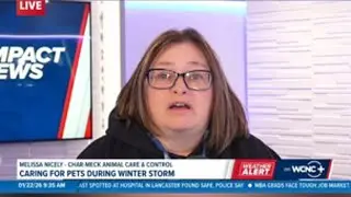 Winter pet safety reminders from Charlotte-Mecklenburg Animal Care & Control | Jan. 22, 2026