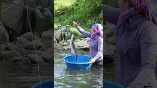 Single Mom Catching 2000kg+ Giant Carp & Catfish by Hand &ndash; Amazing Fishing Skills