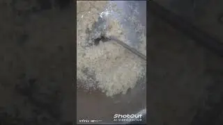 Making phool gobhi halwa🧑&zwj;🍳🧑&zwj;🍳