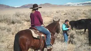 OSUALDO SMART LITTLE LENA - 2009 AQHA Gelding by RMO Horses.com