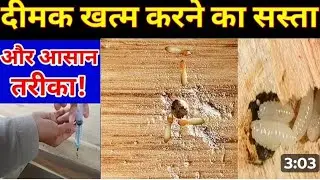 नई चौखट लगाने से पहले।। दीमक से छुटकारा कैसे पाएं ll termite problem solution।।#vlog #video #viral 