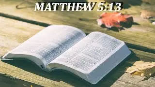 Matthew 5:13 | We are the salt of the earth!