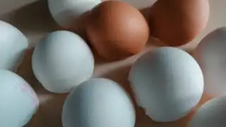 Ostergras herstellen DIY