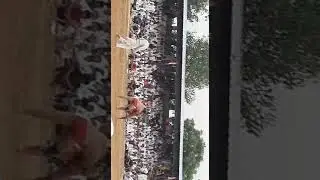 Dada budha mela kusti(2)