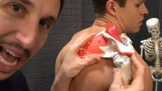 Боль в плече? Инструкция по упражнению Scapula Scoop &mdash; MoveU