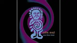 Old Hag You Nearly Killed Me, Humors of Tulla, Celtic Soul Band