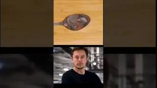 This is Elon Musk meme #shorts