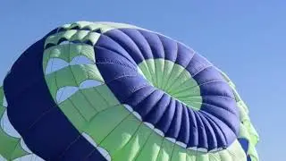 🎬 Wings in the Sky &ndash; A Journey of Flight and Freedom 🕊️🕊️🕊️