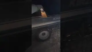 Corn Harvest DUMP & RUN | John Deere S780 & Kinze 1300 Grain Cart Night Time Work Flow #farming