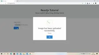 Reactjs laravel 8 Image Upload Working Example