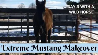 Day 3 ll Mustang Diva || Youth Extreme Mustang Makeover