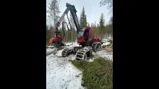 Komatsu 901 | thinning