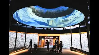 Elumenati Custom Installation at the Indianapolis Zoo