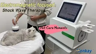 Why Vets Choose Focused Shock Wave Therapy?