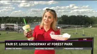 EMMY 2015 | Cat. 78 ON-CAMERA TALENT/ANCHOR - NEWS | KSDK