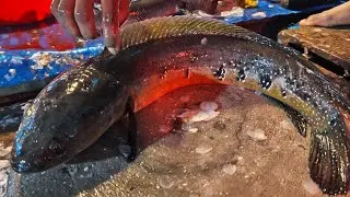 4\kg\ Ghazal fish cutting video #ghazal fish #YouTube #fish #cutting #skill #long video #big fish #