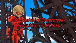 Biedronka vs Biedronek- Miraculum po polsku