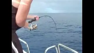 Fishing Barwon Banks - Amberjack on Soft Plastic - Spanish Mac