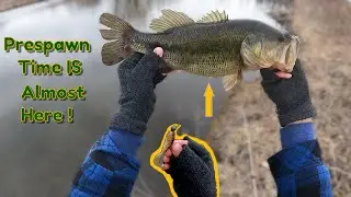 Early Spring Bass Fishing - Pond Fishing