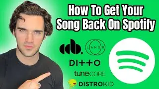 Spotify Took My Song Down | Here's How I Got It Back