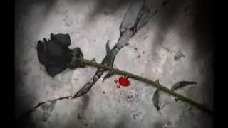 Emotion.wmv