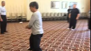 Chen Xiaoxing's Fajing - Xin Jia Erlu - Washington, DC 2015