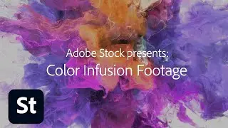 Color Infusion Footage from Adobe Stock | Adobe Creative Cloud