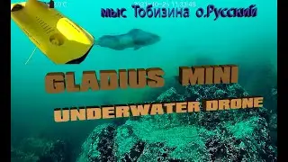 Терпуг Тобизина подводные съемки Gladius Mini uderwater drone  Tobizin Cape Vladivostok