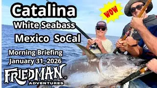 Epic Fishing: White Seabass Bite at Catalina, Monster Bluefin Tuna, White Shark , Limits of Halibut 