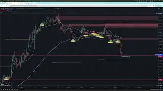 Simple logic, todays live trade 02/08/2025