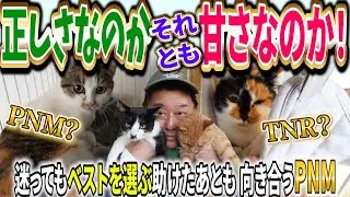 三毛ママ一家とだんちょびコンビ、迷いながら進むPNM