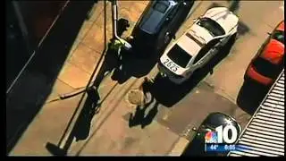 Couple Charged in 2 Stolen Police Cars, Chases