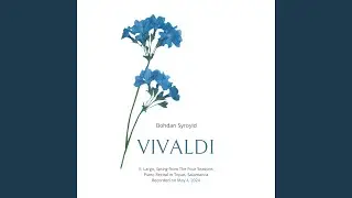 Reinterpretation of Vivaldi's Spring, 2nd movement, RV 269: II. Largo e pianissimo sempre (Live...