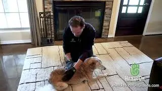 HandsOn Gloves How To