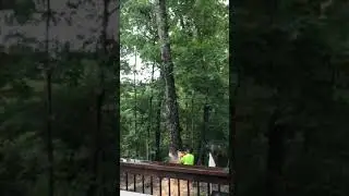 Tree service in Atlanta Georgia cortando &aacute;rboles