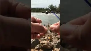 Fishing at Charters Towers Weir #australia #camping #fishing