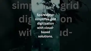&ldquo;Spark Meter: Transforming Energy Access with Smart Data Platforms & Software Technologies&rdquo;