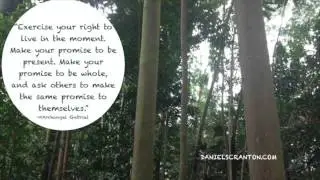 Promises - Archangel Gabriel, Channeled by Daniel Scranton