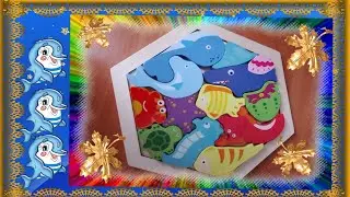 Puzzles: two dolphins and marine life