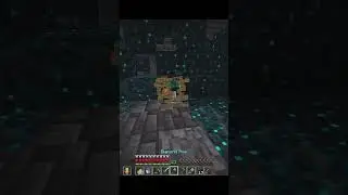 Finally Found the Rarest Armour Trim on Minepur Server #minecraft #rare #challenge #ancientcity