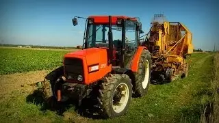 Akcja burak cz.1 |Zetor & Kleine|