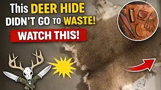 Don&rsquo;t Waste Your Deer Hides | Best Step-by-Step Tanning Guide