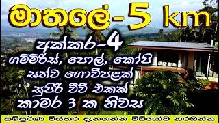 Profitable 4 Acre Farm Land Near Matale Town | Pepper, Coconut & Coffee Estate